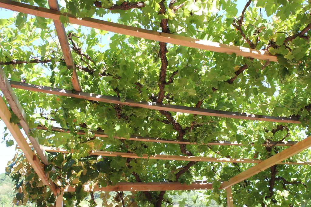 Guesthouse Edelnice Gornja Trepča Εξωτερικό φωτογραφία