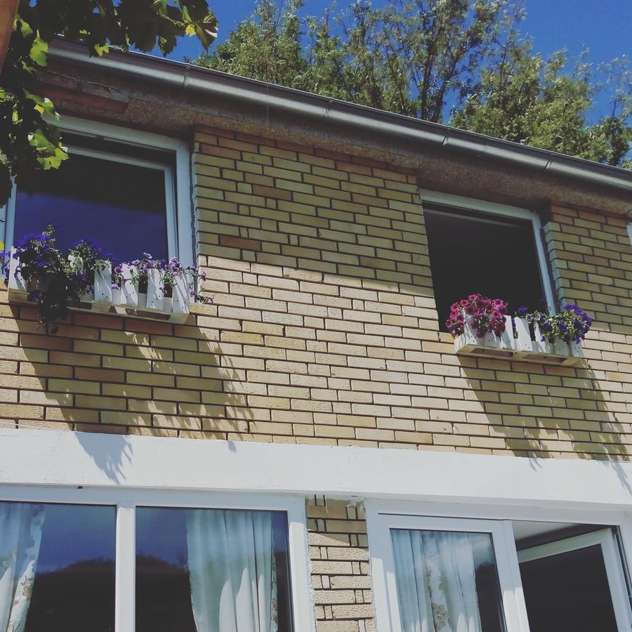 Guesthouse Edelnice Gornja Trepča Εξωτερικό φωτογραφία