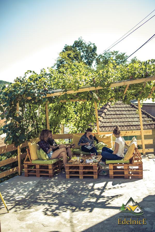 Guesthouse Edelnice Gornja Trepča Εξωτερικό φωτογραφία