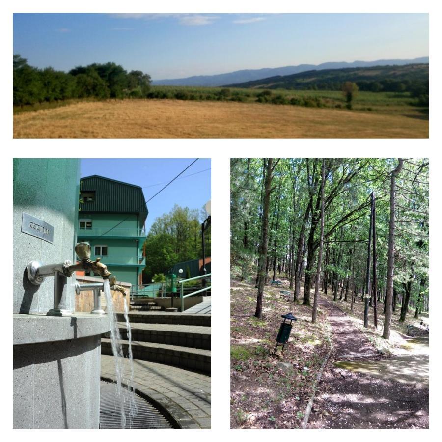 Guesthouse Edelnice Gornja Trepča Δωμάτιο φωτογραφία
